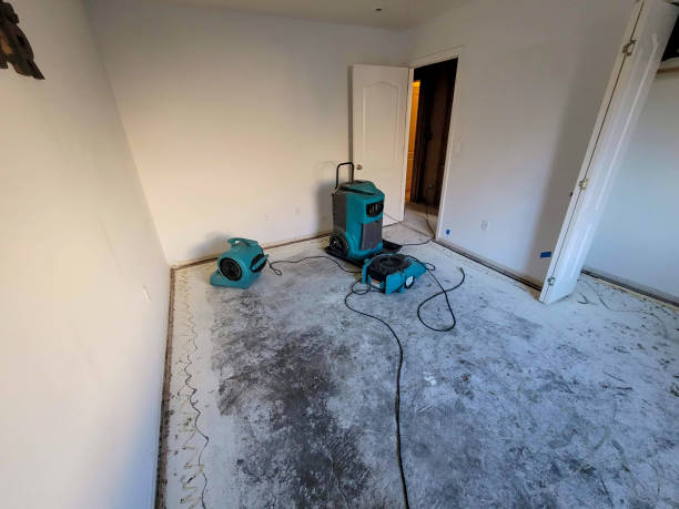 Best Basement water damage restoration  in Waterflow, NM
