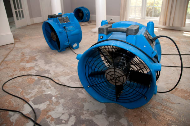 Best Carpet water damage restoration  in Waterflow, NM